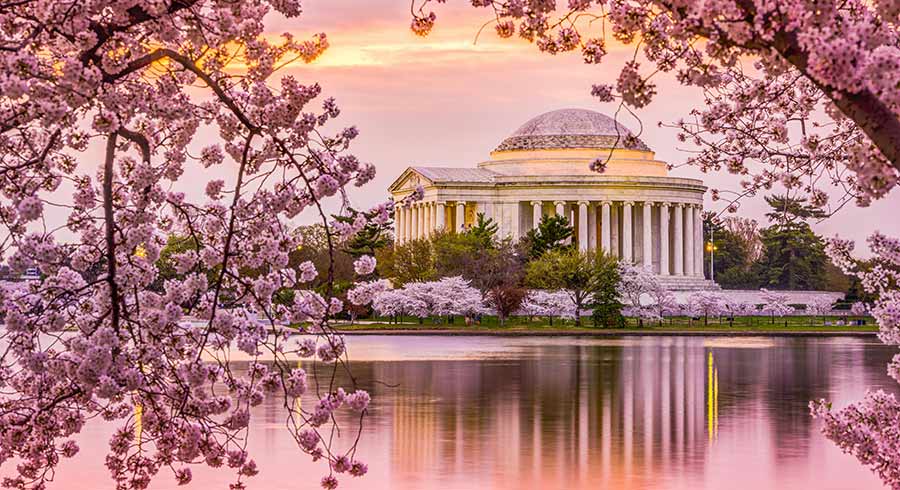 Jeff-Memorial-Washington-DC-Cherry-Blossoms-Educational-Tours-Florida