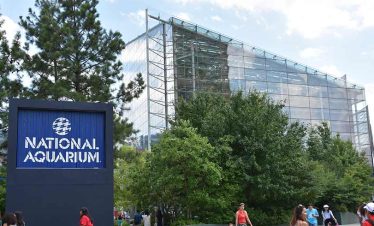 Visit Baltimore National Aquarium Class Trip Educational Tours Florida