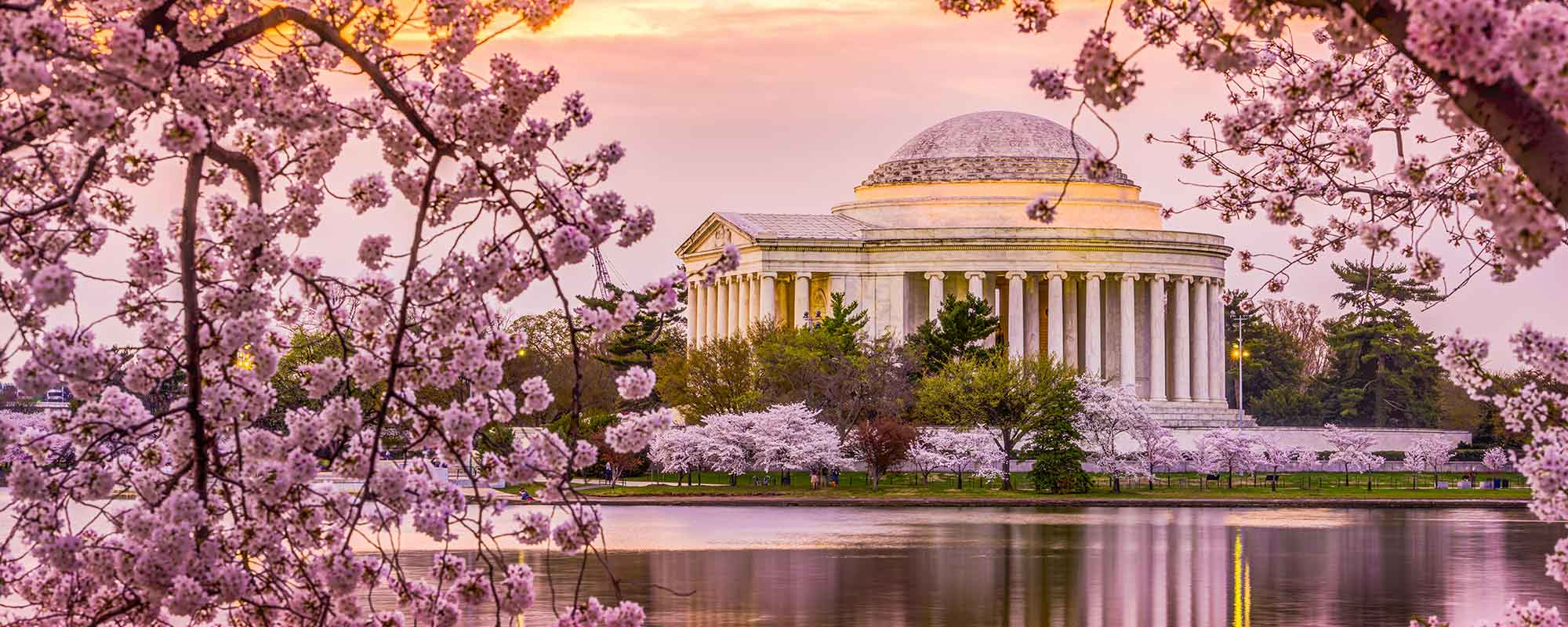 Washington DC Cherry-Blossoms Jeff Memorial on Class Trip with Educational Tours